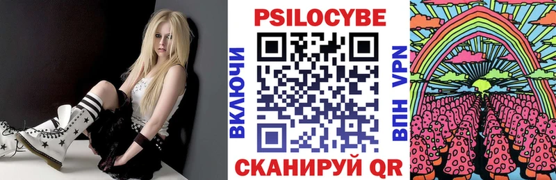 Псилоцибиновые грибы мицелий  купить наркотик  Бахчисарай 