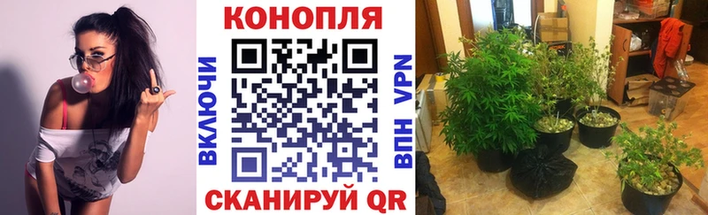 Канабис MAZAR  Бахчисарай 